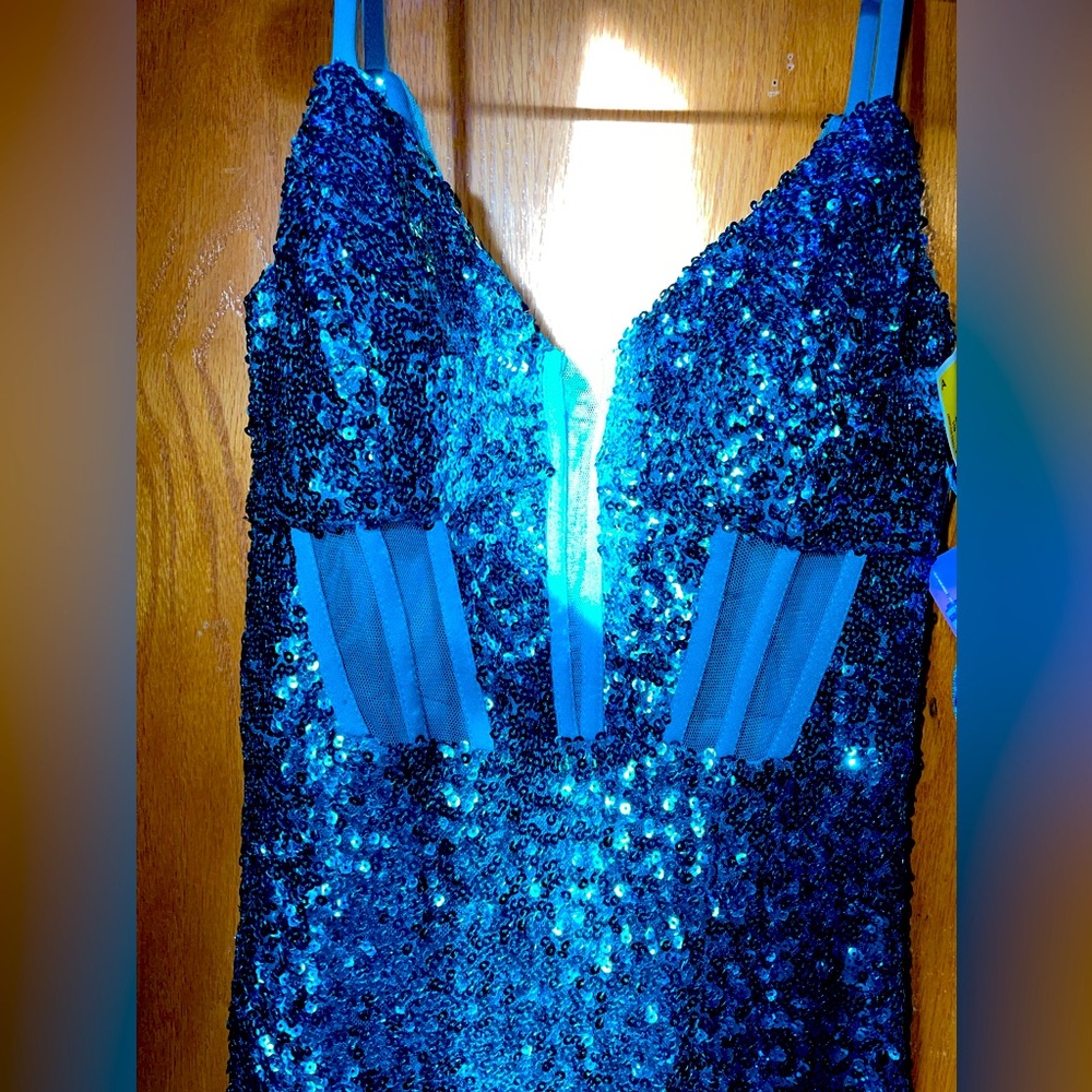 Blue and Purple prom dresses both size 3